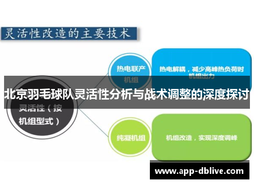 北京羽毛球队灵活性分析与战术调整的深度探讨