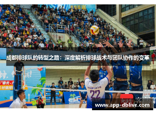 成都排球队的转型之路：深度解析排球战术与团队协作的变革